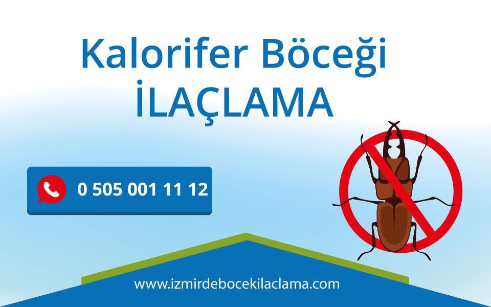Kalorifer Böceği İlaçlama