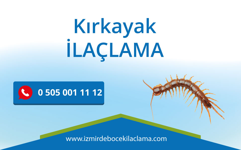 Kırkayak İlaçlama