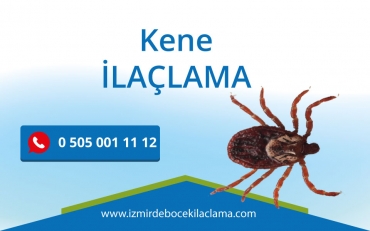 Kene İlaçlama
