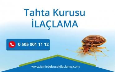 Tahta Kurusu İlaçlama