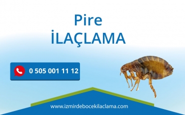 Pire İlaçlama