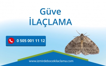 Güve İlaçlama